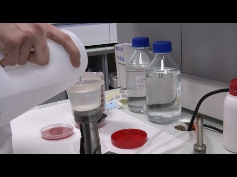 Descubre el origen del agua de Madrid en 70 segundos