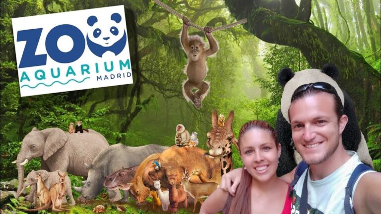 Explorando la diversidad en el Zool&oacute;gico de Madrid