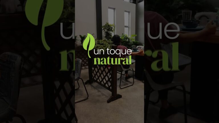 Encuentra cafeterías con personalidad en Madrid