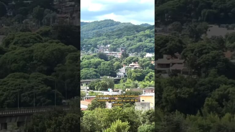 Descubre las vistas panor&aacute;micas &uacute;nicas de la ciudad