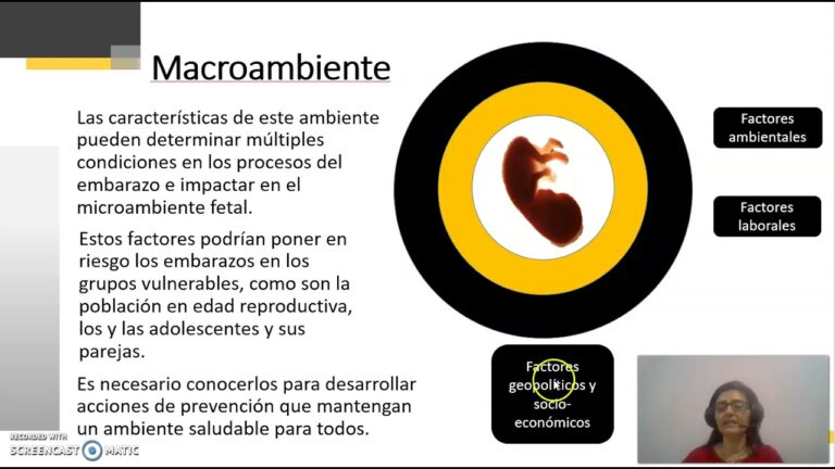 La Importancia de la Pareja en la Maternidad Tardía