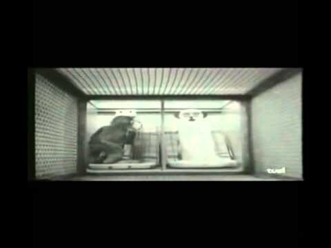 El inmenso valor del amor materno