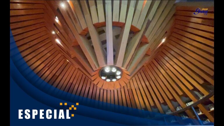 Las Joyas Culturales de Madrid: Descubriendo las Bibliotecas Históricas