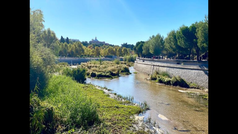 Explorando la Navegaci&oacute;n en el R&iacute;o Manzanares