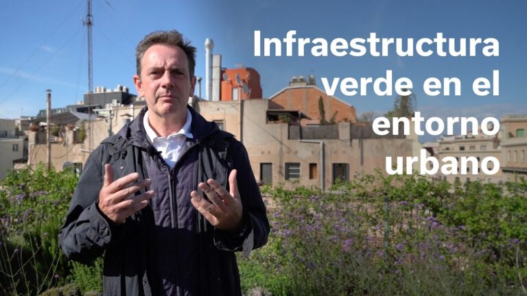 La importancia de los espacios verdes en la metr&oacute;polis