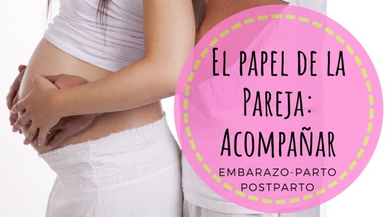 El papel de la pareja en la adaptaci&oacute;n maternal: una exploraci&oacute;n