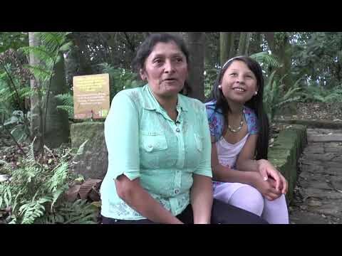 Apoyando los Sueños Maternos: Una Guía para el Éxito