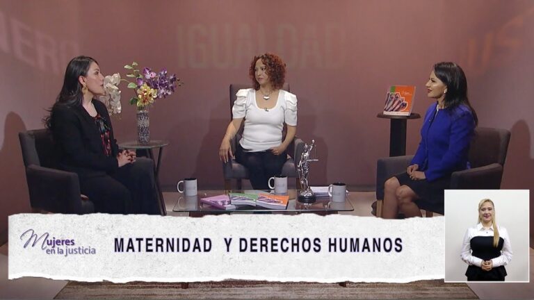 La maternidad como elecci&oacute;n personal: Empoderamiento y autonom&iacute;a